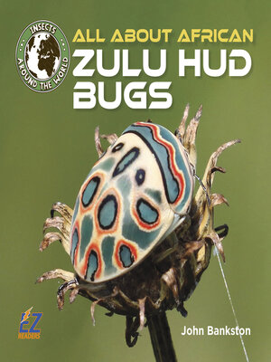 cover image of All About African Zulu Hud Bugs